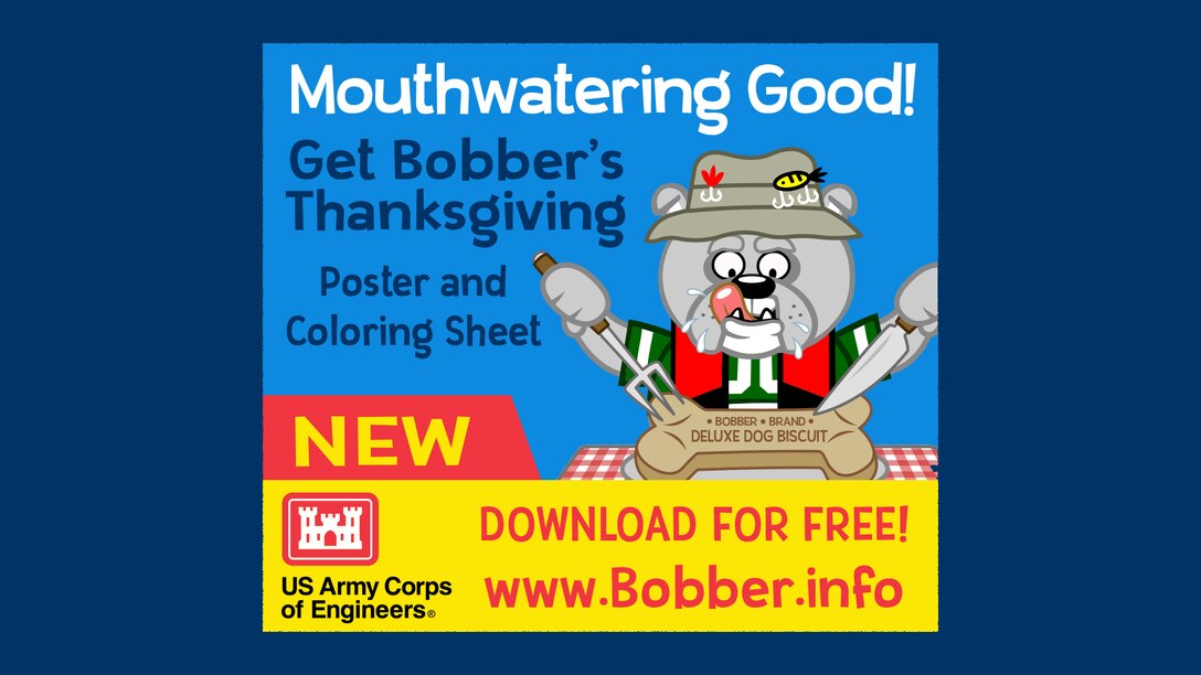 Get your free Bobber the Water Safety Dog puzzle, poster and coloring sheet today! Available for a limited time at www.bobber.info