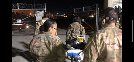 Army Reserve 149th Veterinary Detachment (Forward 2) treat Military Working Dog, Kuno