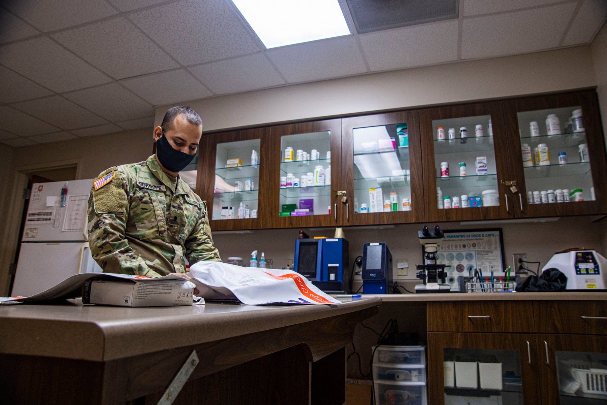 Image of a Soldier working at the veterinary treatment facility