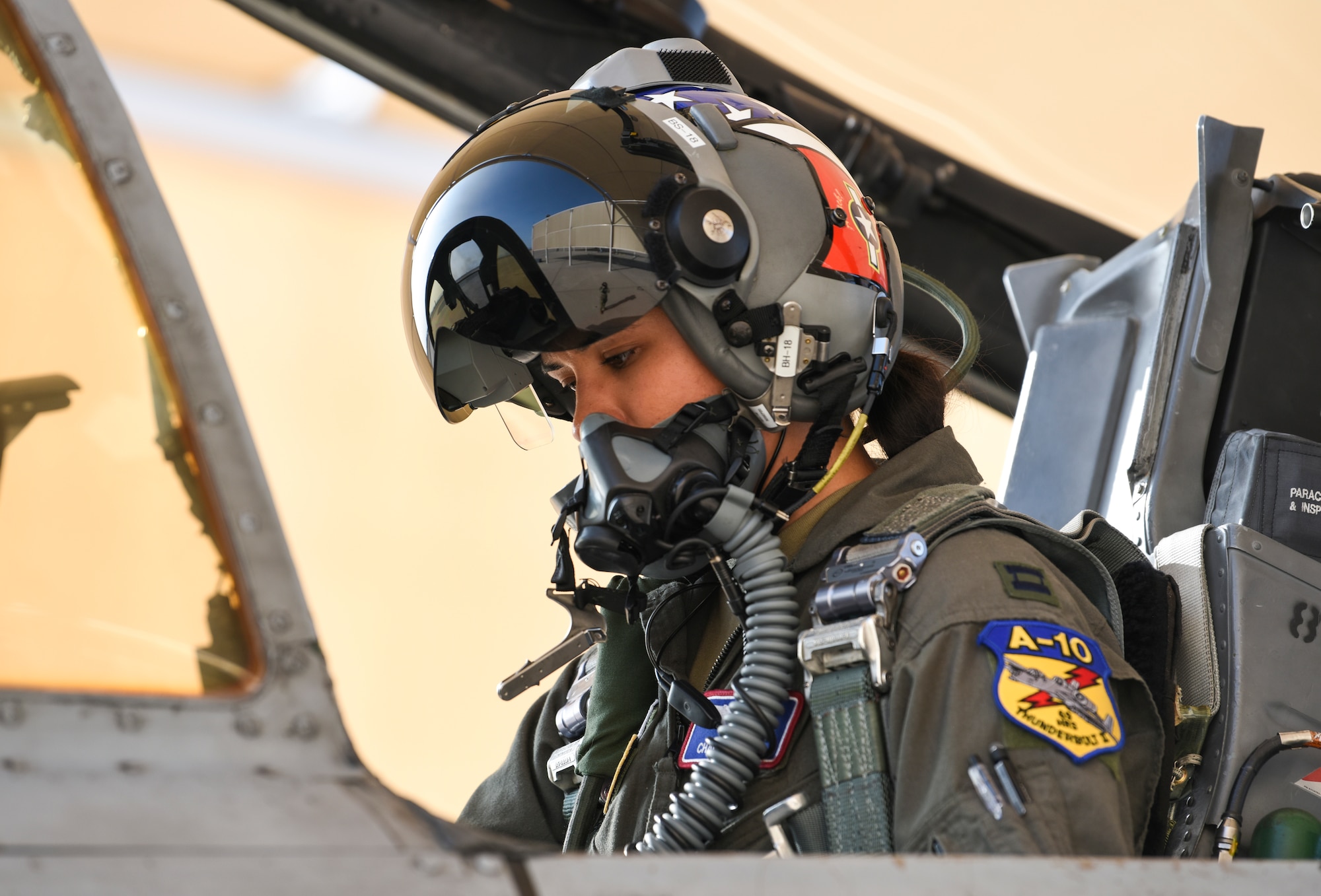 355th Fighter Group portrait photos