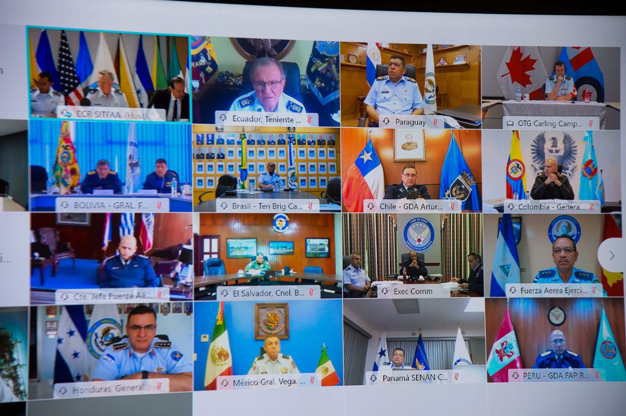 screen view of virtual conference