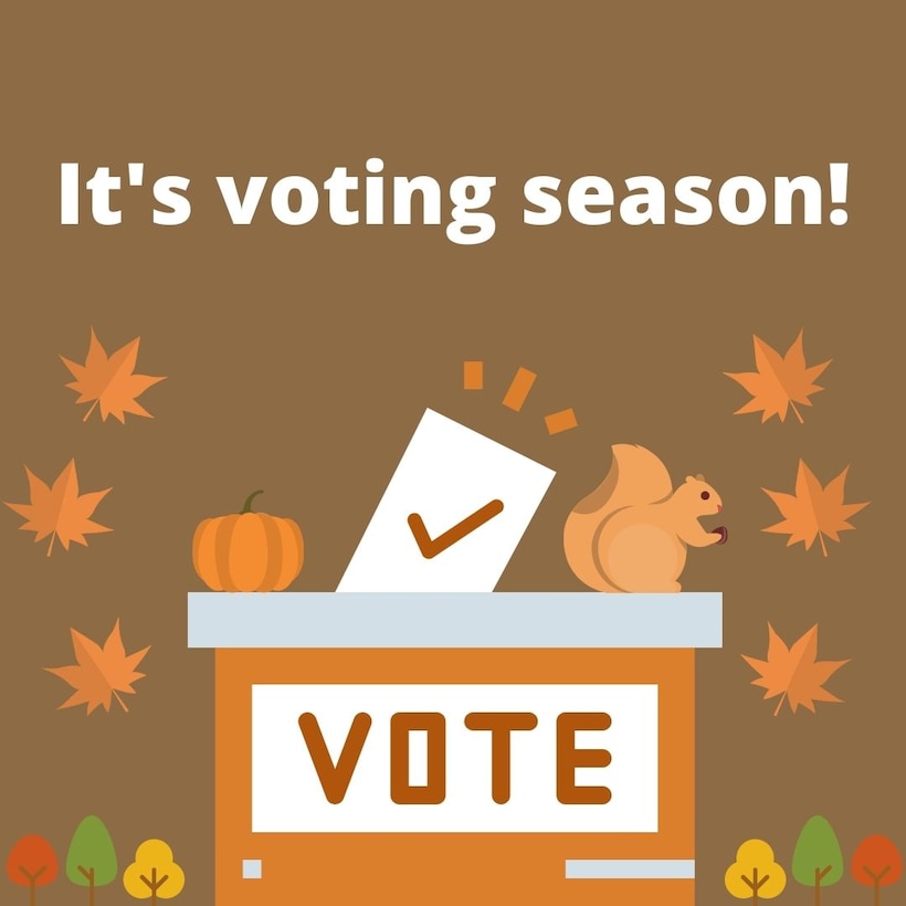 Voting Season Graphic