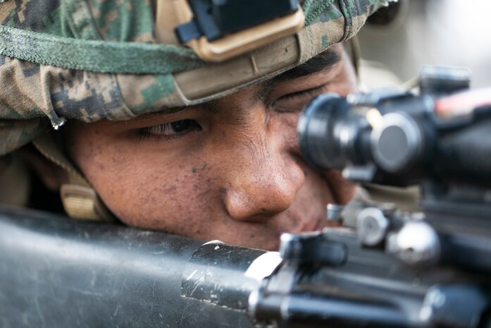 A U.S. Marine with Charlie Battery, 1st Battalion, 12th Marine Regiment, sights in his target pointer and illuminator prior to a low light live fire training event aboard Pohakuloa Training Area, Hawaii, Sept. 20, 2020. Marines with 1/12 conducted the training as part of Spartan Fury, a training exercise that aims to strengthen the artillery unit’s expeditionary readiness and tactical proficiency. (U.S. Marine Corps photo by Sgt. Luke Kuennen)