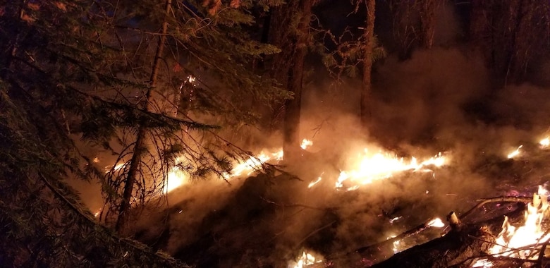 Wildland fires burn during a mid-August night near Susanville, Calif. A series of wildland fires has destroyed more than 30,000 acres of land around Susanville. (Courtesy Photo)