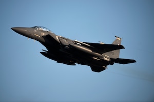 The Liberty Wing takes flight