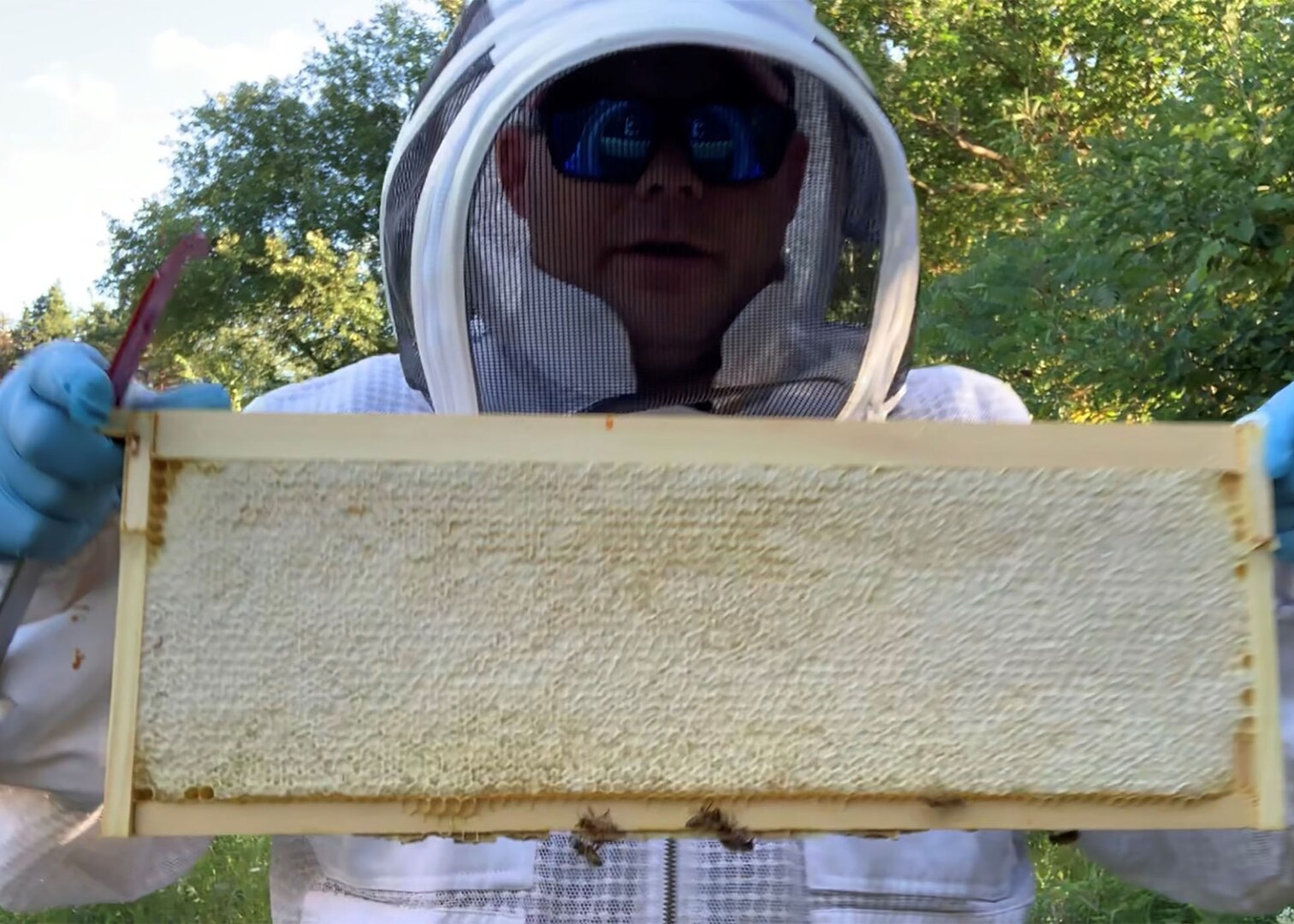 Defense Logistics Agency employee and beekeeper Adam Beam takes a closer look at one of the frames from one of his hives.