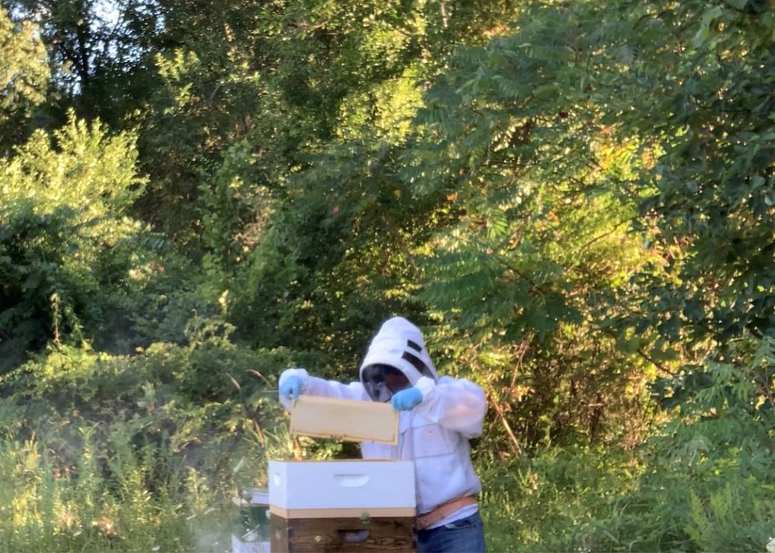 Defense Logistics Agency employee and beekeeper Adam Beam begins to inspect on of his hives.