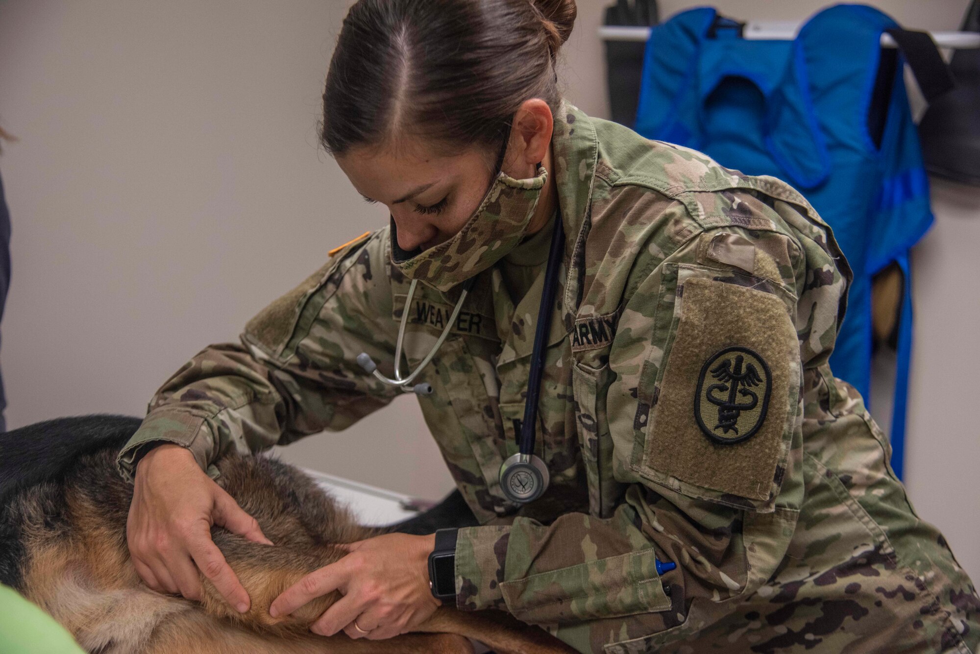 Captain Heather Weaver, Fort Bragg veterinarian, examines a dog named Lucifer after he came into the clinic with a limp at Seymour Johnson Air Force Base, Sept. 29, 2020. The veterinarian is assigned to Fort Bragg Army Base, however, she commutes to SJAFB to help run the base’s veterinary clinic multiples days a week. (U.S. Air Force photo by Senior Airman Kylee Gardner)