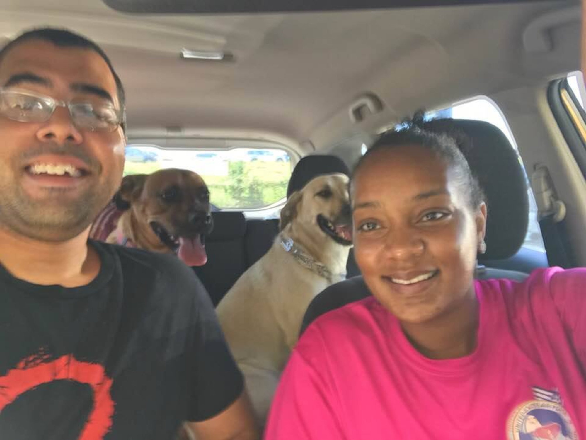 family and dogs sit in car