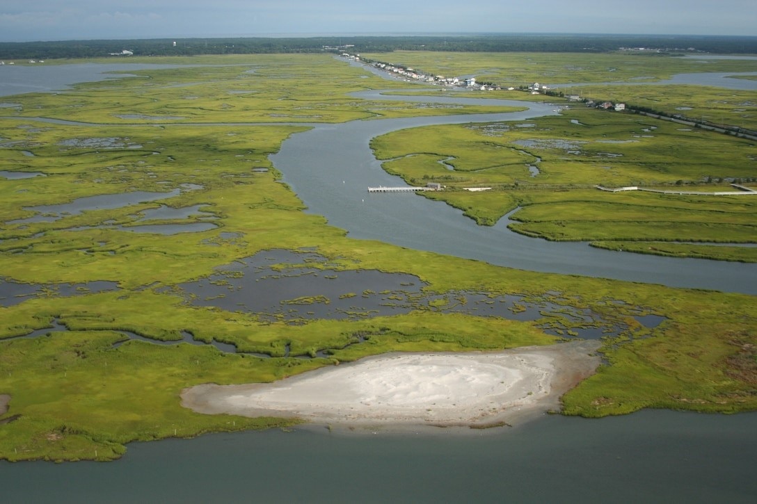 The U.S. Army Corps of Engineers partnered with the state of New Jersey, The Nature Conservancy, Green Trust Alliance and The Wetlands Institute to create nesting bird habitat at Ring Island near Stone Harbor, New Jersey. Sandy dredged material was placed on the site in 2014 and again in 2018. The newly created colonial nesting bird habitat has been successfully utilized by black skimmers, common and least terns and American oystercatchers ⸺ all state endangered species or species of special concern in the state of New Jersey.