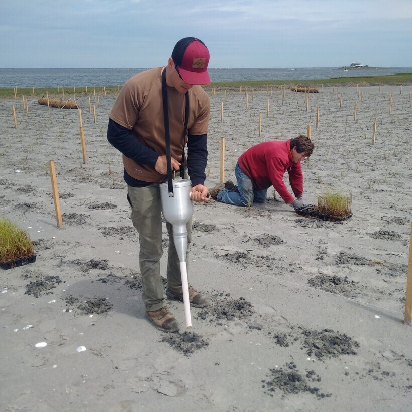 Contractors plant a section of Mordecai Island that had previously been restored with dredged material. The U.S. Army Corps of Engineers' Philadelphia District and its contractor removed critical shoals from the New Jersey Intracoastal Waterway and used the material to restore a portion of Mordecai Island marshland. The island serves two important functions within Barnegat Bay: it provides habitat for wildlife and augments overall coastal resiliency for the backbay communities of Long Beach Island.