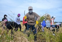 Misawa Mayor Yoshinori Kohiyama poses for a photo during a community relations event in Misawa City, Japan, Oct. 8, 2020. Kohiyama and U.S. Air Force Col. Jesse J. Friedel, 35th Fighter Wing commander, joined students from Oozora Elementary School to harvest rice. (U.S. Air Force photo by Tech. Sgt. Timothy Moore)