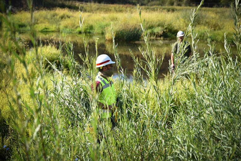 Jarrett Schuster, environmental compliance specialist for the Walla Walla District, walking amid the tall coyote willow whips, while fish and wildlife biologist Brad Trumbo, looks on.