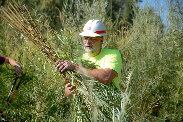 Wildlife Biologist Ben Tice carrying and armful of coyote willow whips. Once collected, the willows were replanted along the toe of a riverbank to serve as erosion control.