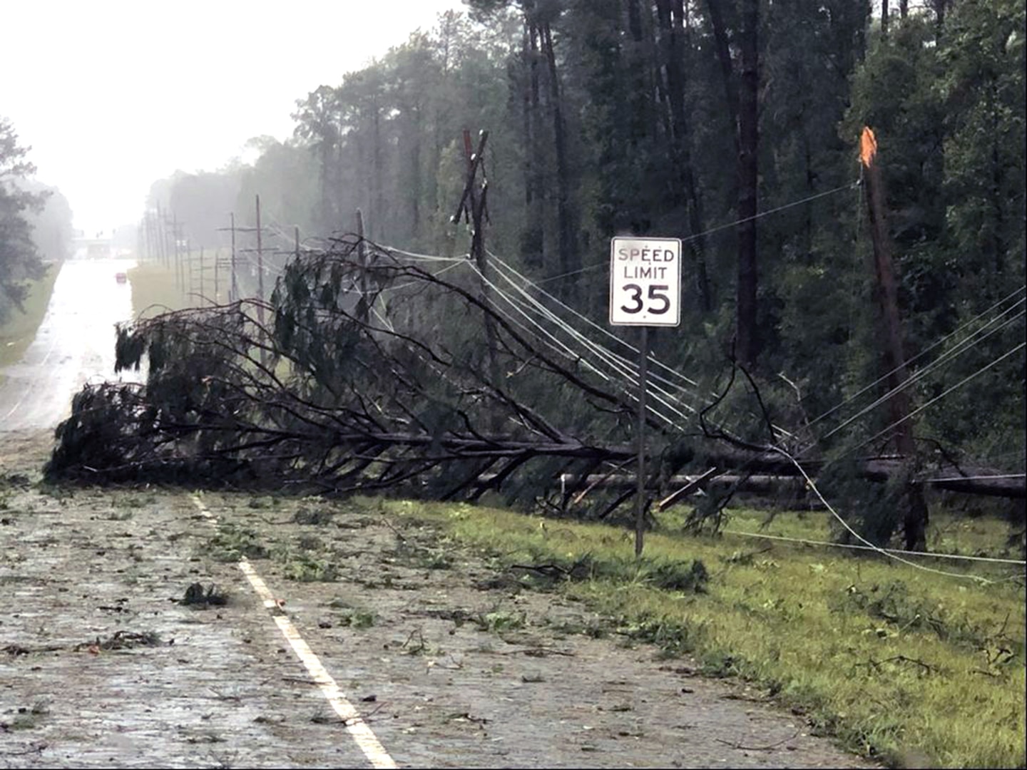 Hurricane Delta damage