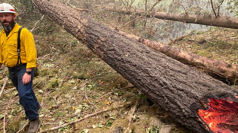 A downed tree, still burning on the inside, shows some of the devastation at Blue River Dam from the Holiday Farm Fire, which started about an hour east of Eugene following historic winds that arrived in the area Sept. 7. A multi-disciplinary team of operations, engineering and dam safety personnel made it to Blue River and nearby Cougar Dam for a post-fire inspection Sept. 14.