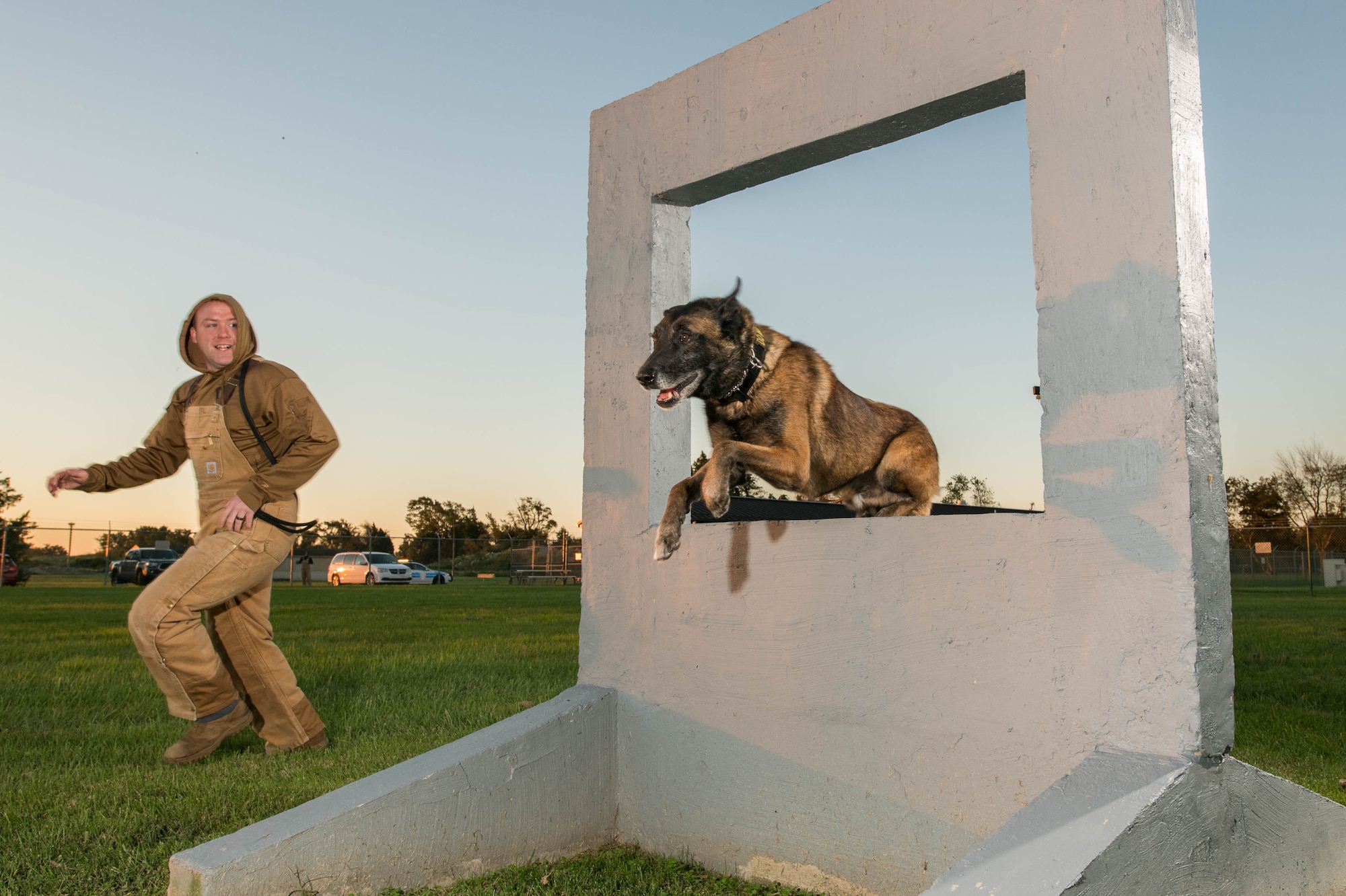 Staff Sgt. Ross Carpenter, 436th Security Forces Squadron military working dog handler, and Military Working Dog Karlo negotiate a window obstacle Oct. 8, 2020, at Dover Air Force Base, Delaware. The teams train in the obedience yard on a daily basis. (U.S. Air Force photo by Mauricio Campino)