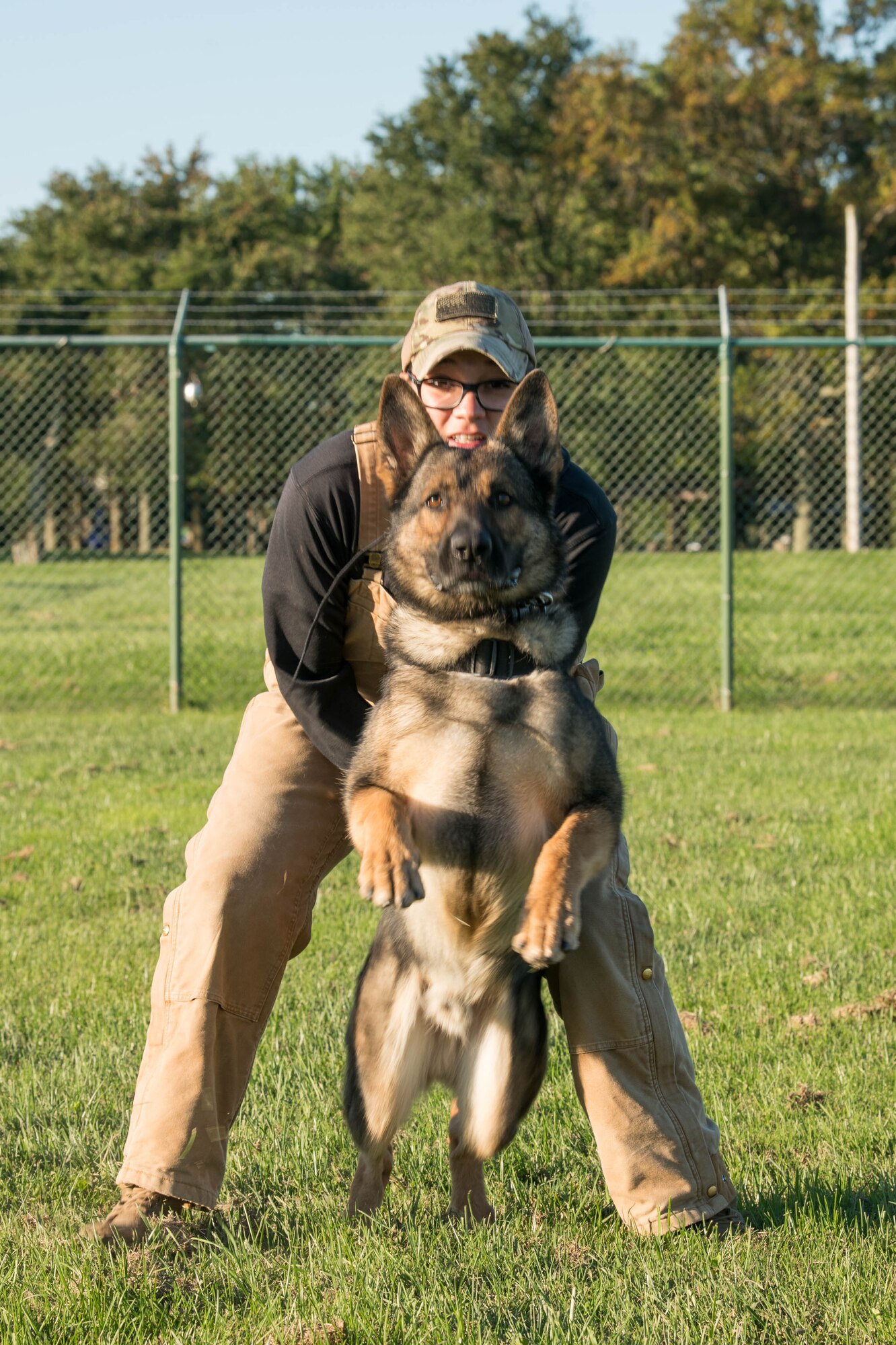 Senior Airman Theresa Braak, 436th Security Forces Squadron military working dog handler, and Military Working Dog Sam perform controlled aggression exercises Oct. 8, 2020, at Dover Air Force Base, Delaware. Obedience and control are fundamental aspects of the team’s working relationship. (U.S. Air Force photo by Mauricio Campino)