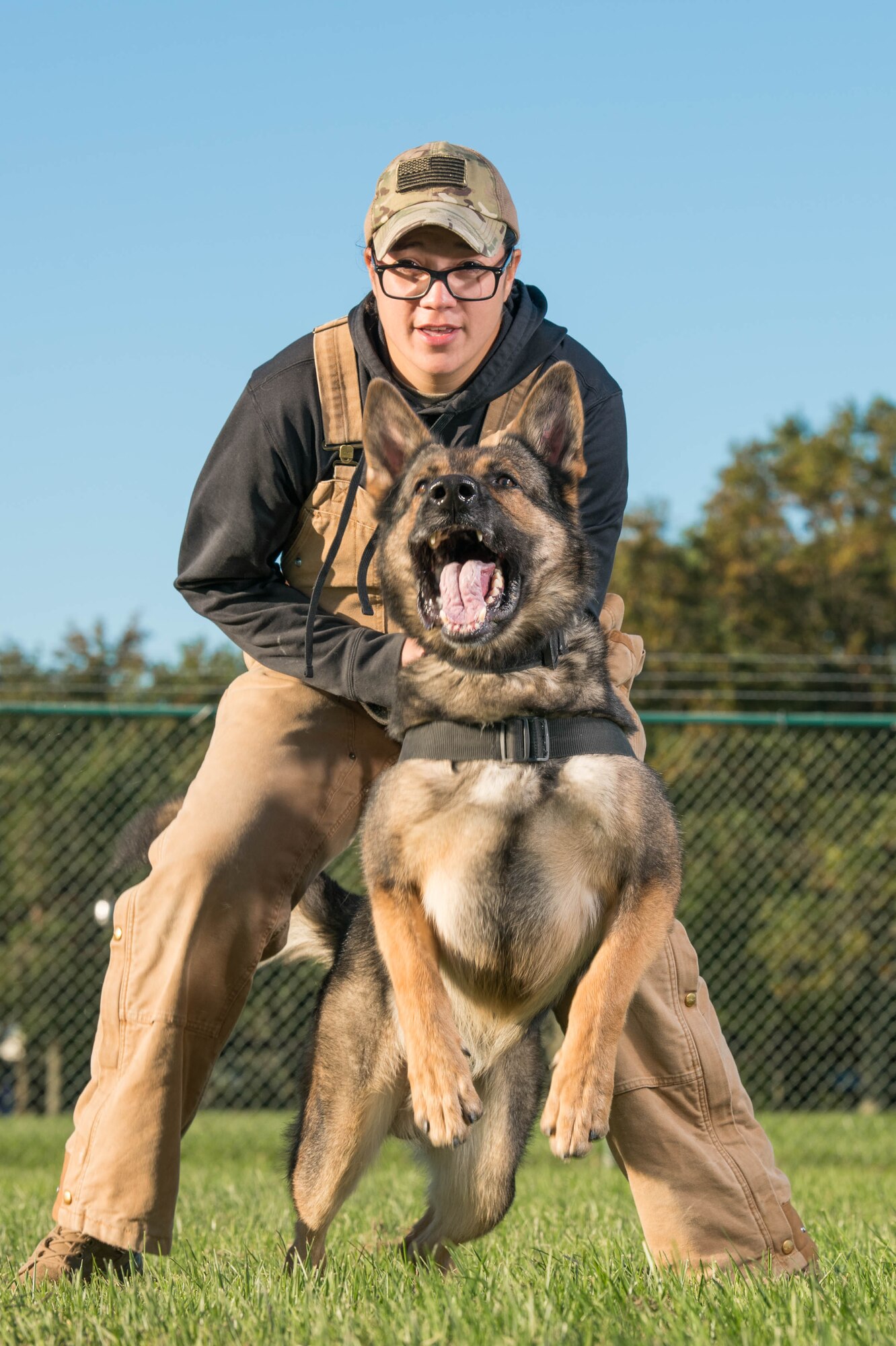 Senior Airman Theresa Braak, 436th Security Forces Squadron military working dog handler, and Military Working Dog Sam conduct pursuit-and-attack training Oct. 8, 2020, at Dover Air Force Base, Delaware. Based on their strengths, the MWDs are trained and certified to conduct patrol work, detection of improvised explosive devices or detection of contraband. (U.S. Air Force photo by Mauricio Campino)