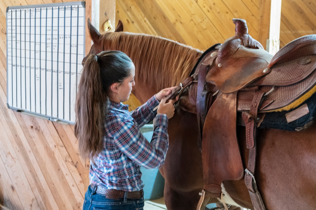Sergeant Amy M. Polachek adjusts the saddle on her horse “Tex”, AKA Najaf, prior to taking him out for some training at the Mounted Color Guard Stables aboard Marine Corps Logistics Base Barstow, California, Oct. 6. The newest member of the last remaining MCG in the Marine Corps brings with her some impressive riding skills to add to the equestrian talent already assigned to the unit.