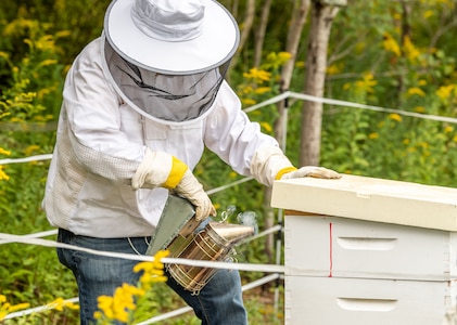 Photo of Environmental Protection Specialist Sean Maynard uses a smoker to sedate the honey bees prior to opening the hive.