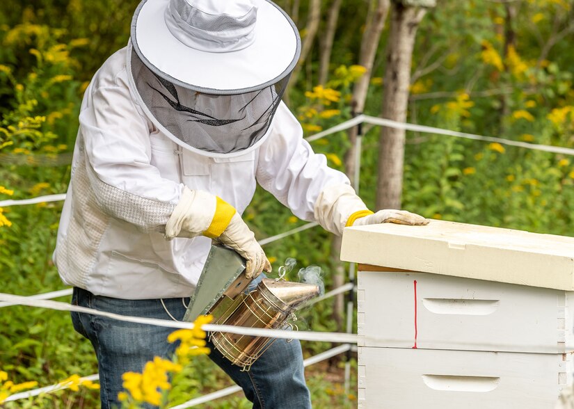 Big Branch Apiary