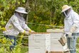 Photo of Environmental Protection Specialists Sean Maynard, left, and Matt Argust close up the hive after inspection.