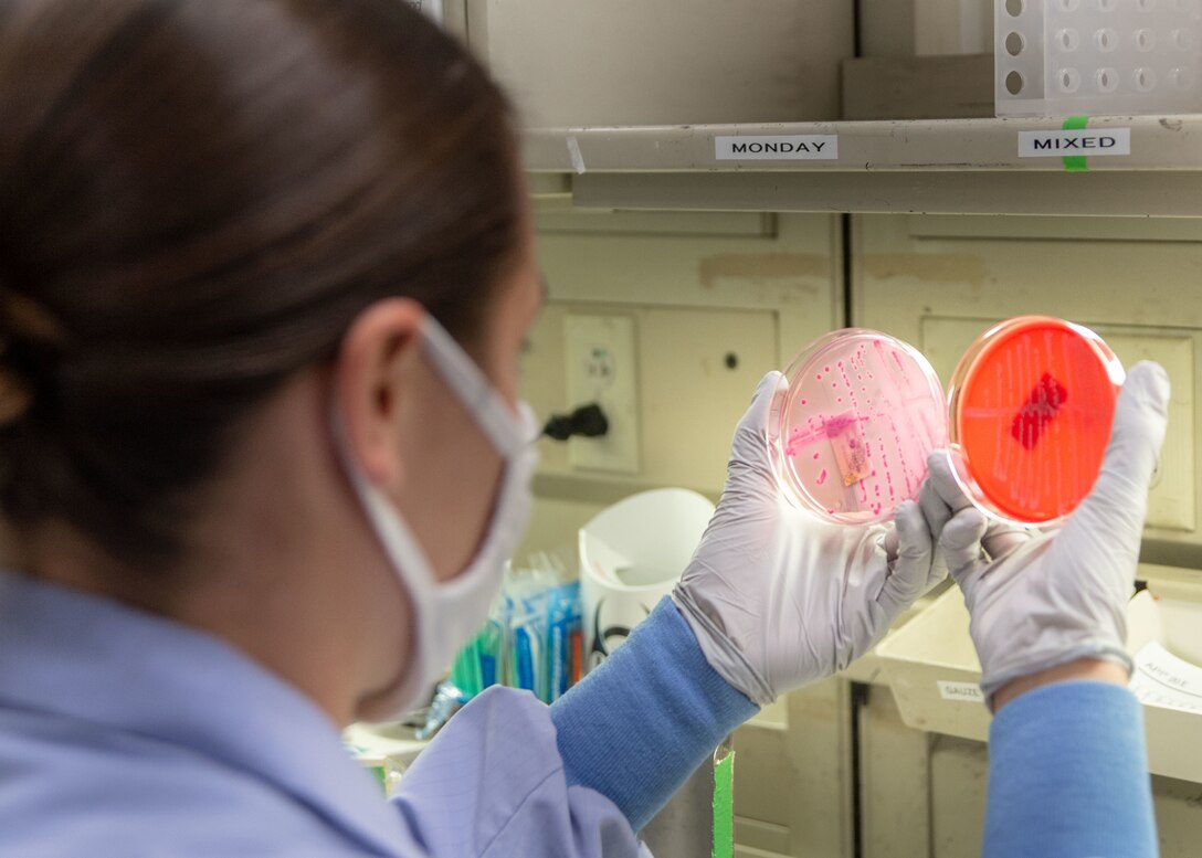 Hospital Corpsman 2nd Class Brittni Porter, a laboratory technician assigned to Naval Medical Center San Diego�s (NMCSD) microbiology laboratory, exams agar slides during a drug susceptibility tests Oct. 19.
