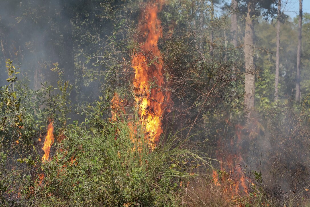 Marine Corps Logistics Base Albany Commanding Officer Col. Michael Fitzgerald officially signed for two unmanned aerial systems, making it the third Marine Corps Installations East base to receive drone kits, Oct. 2. (U.S. Marine Corps photo by Re-Essa Buckels)