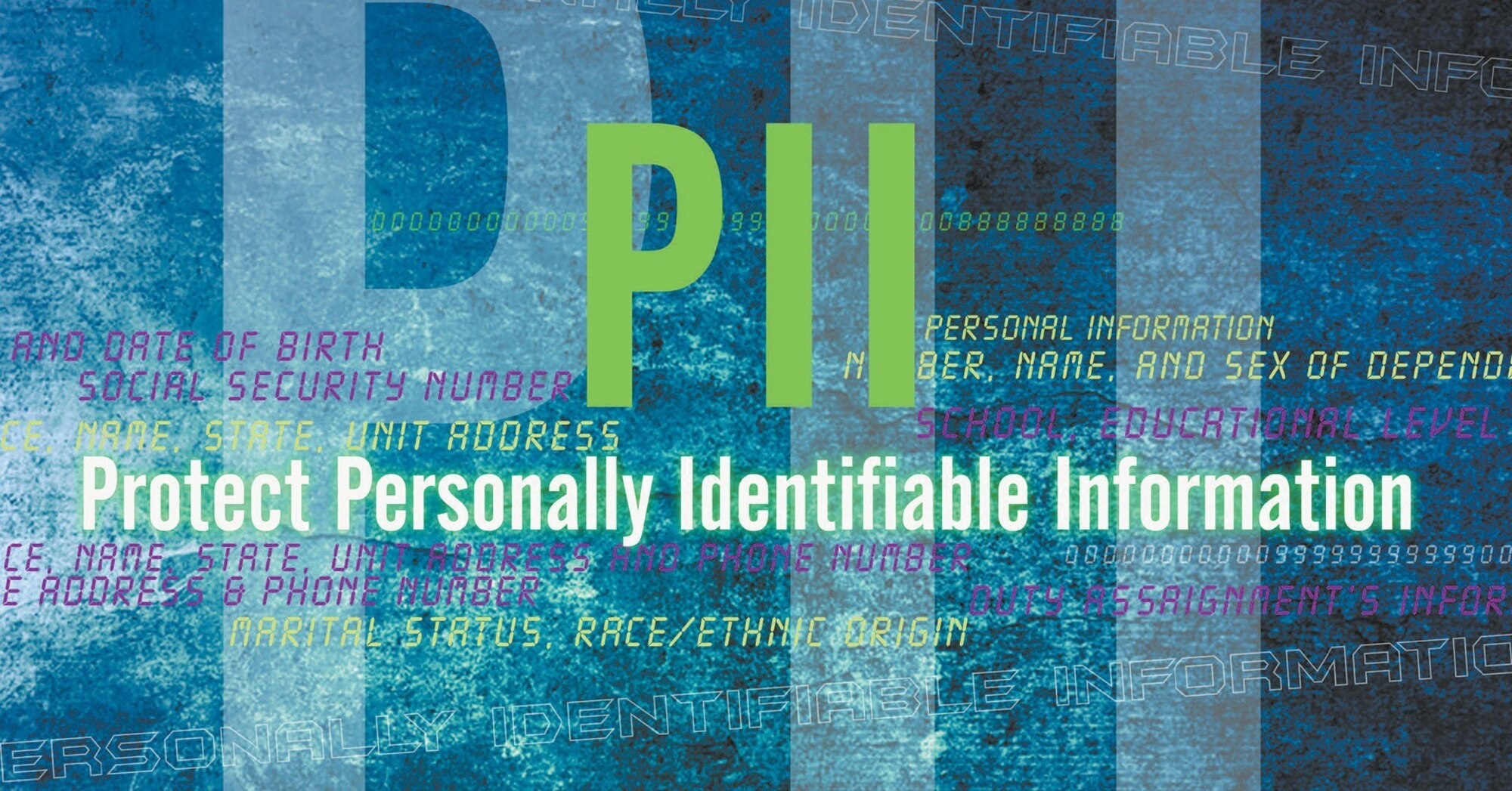 PII is unique information about an individual not releasable to the public without the written consent of the individual. Examples includes Social Security numbers, dates of birth, marital status, race or financial information. (Air Force Graphic by Naoko Shimoji)