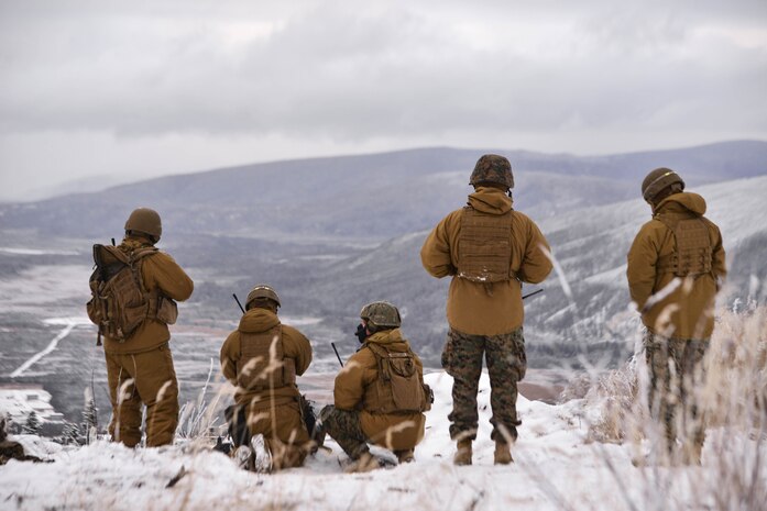 Air, land, sea, snow: 1st ANGLICO joins RED FLAG-Alaska