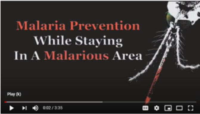 Malaria Prevention while Staying in a Malarious Area - Video
