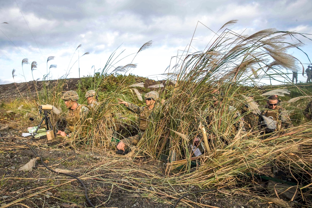 A group of Marines crouch in tall grass as one points to an area in front of them.