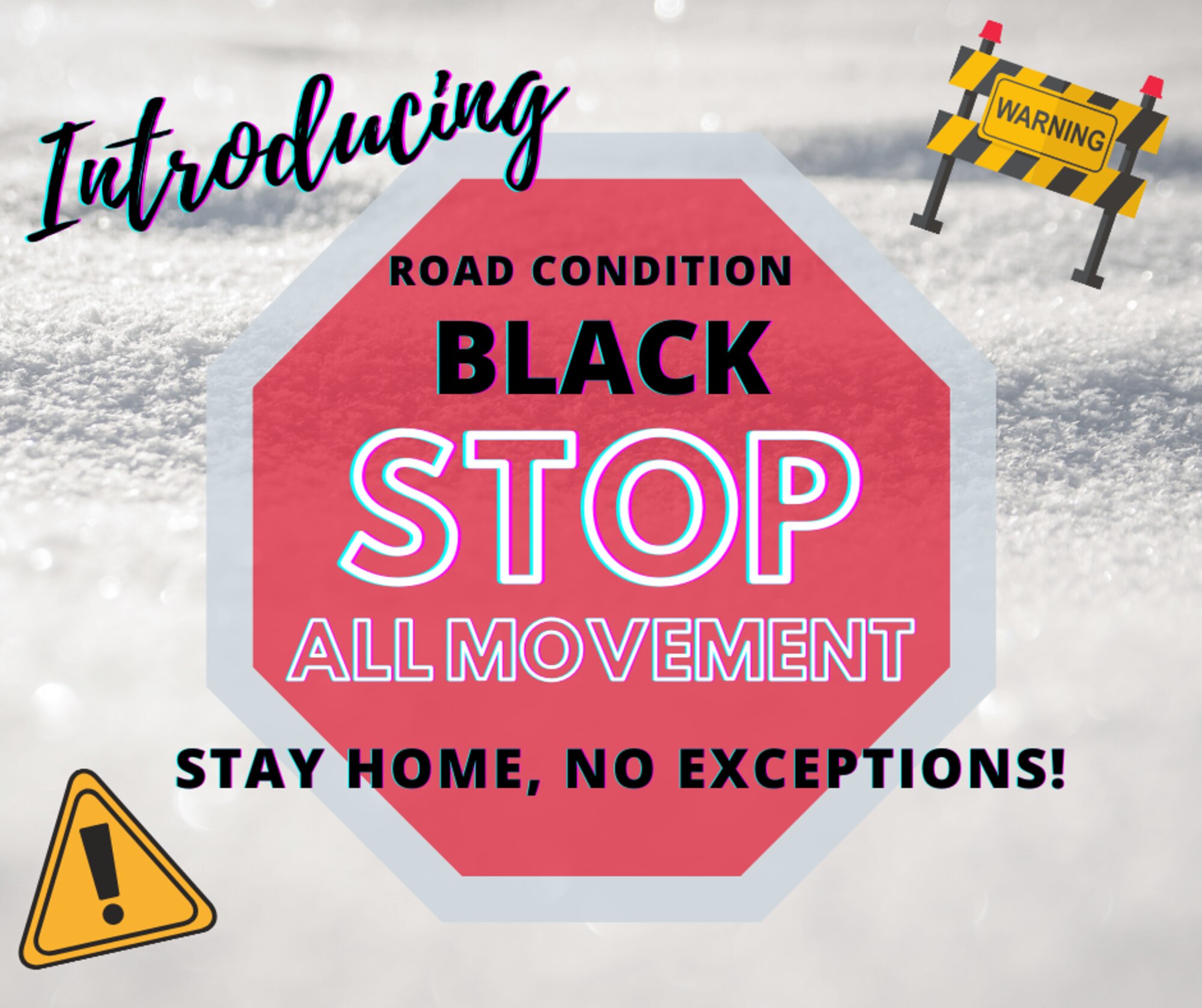 Ellsworth Air Force Base, S.D., has introduced a new Road Condition classification known as black Oct. 17, 2020. Road Condition Black will be enforced if driving conditions are extremely dangerous. Only emergency services, snow removal and mission critical vehicles will be permitted to travel at that time. (U.S. Air Force graphic by Airman 1st Christina Bennett)