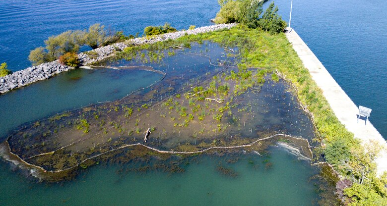 The Unity Island wetland restoration site