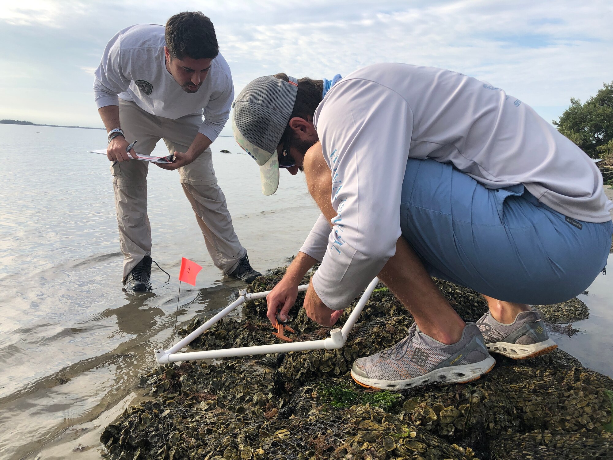 Wildlife biologists monitor the living shoreline at MacDill Air Force Base, Florida, April 2019.