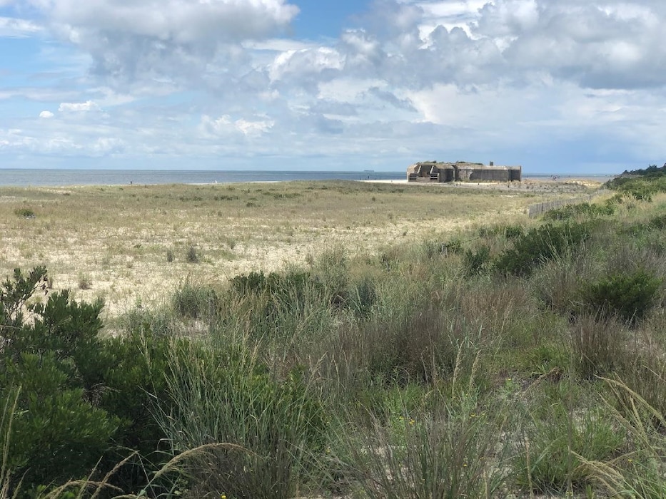 The vegetation that has occurred on the berm (and to some degree the dune) has reduced the suitability of the site for endangered nesting birds.