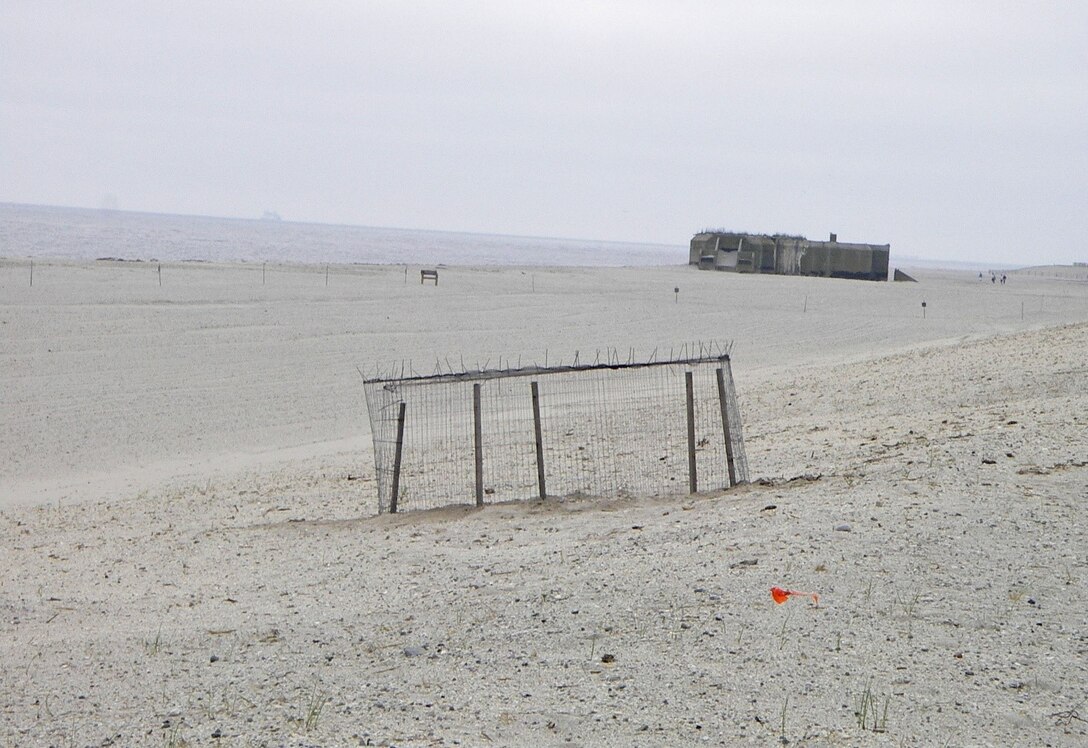 Cape May Meadows, shortly after the completion of the restoration project (circa 2006-07 ). In the foreground is a Piping Plover nest protected by a predator exclosure.