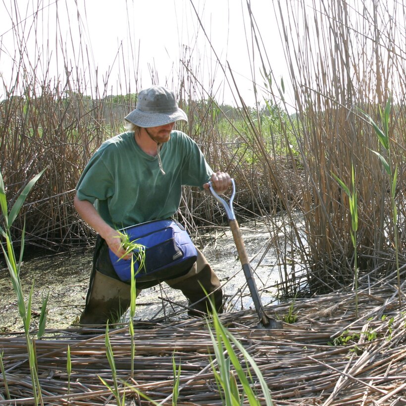 The initial construction for the Lower Cape May Meadows-Cape May Point ecosystem restoration project was completed in 2007. Work is designed to reduce damages from coastal storm events and to protect the valuable fish and wildlife habitat that exists on the beach and in the wetlands behind the dune.