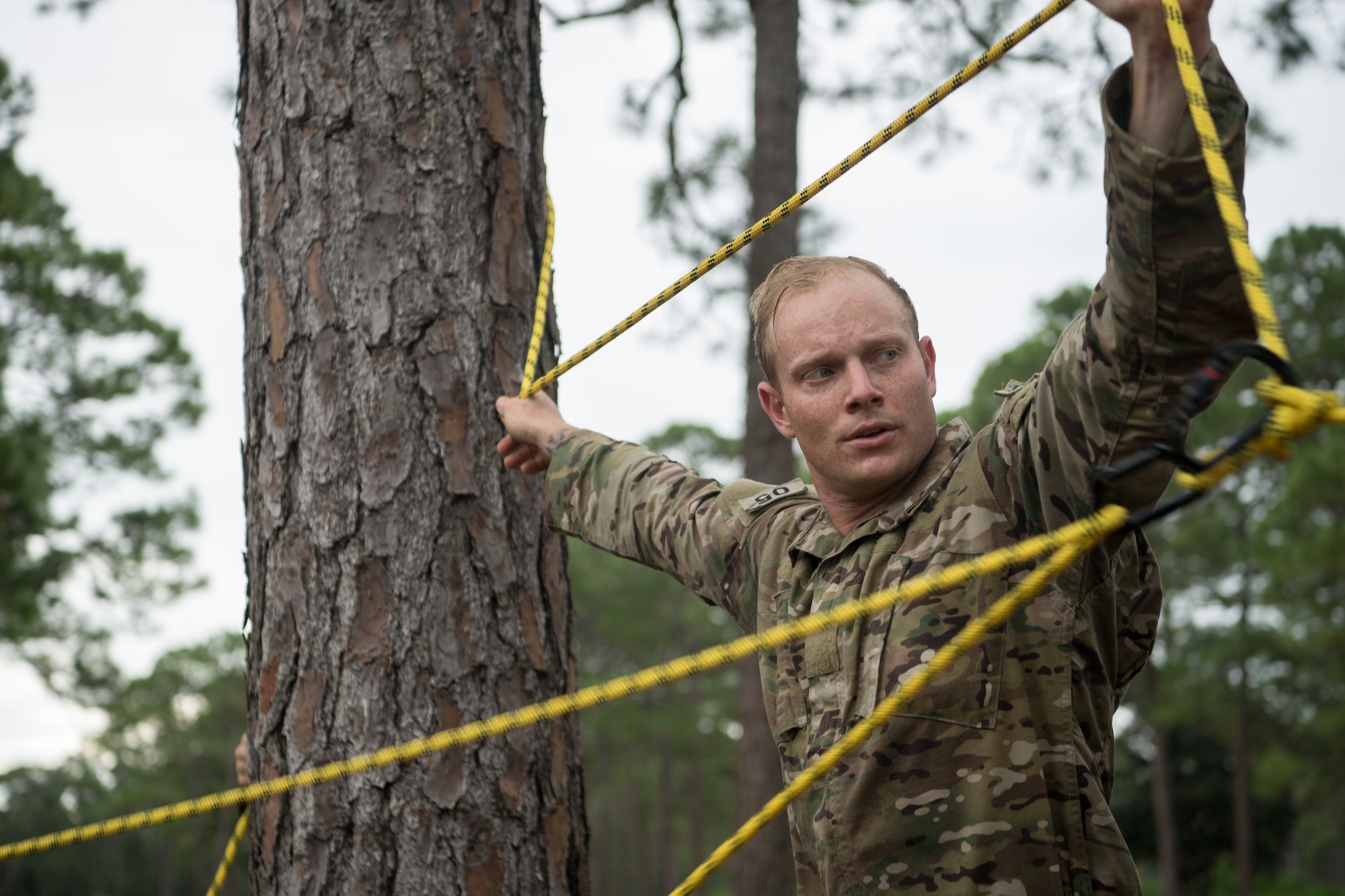 A Special Tactics tactical control air party candidate holds up a yellow taught rope to a thick tree as the rope crisscrosses in front of him.