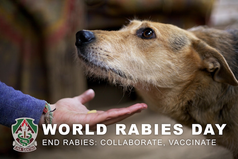 World Rabies Day: How military communities can help end rabies (U.S. Army Graphic by Amber Kurka)