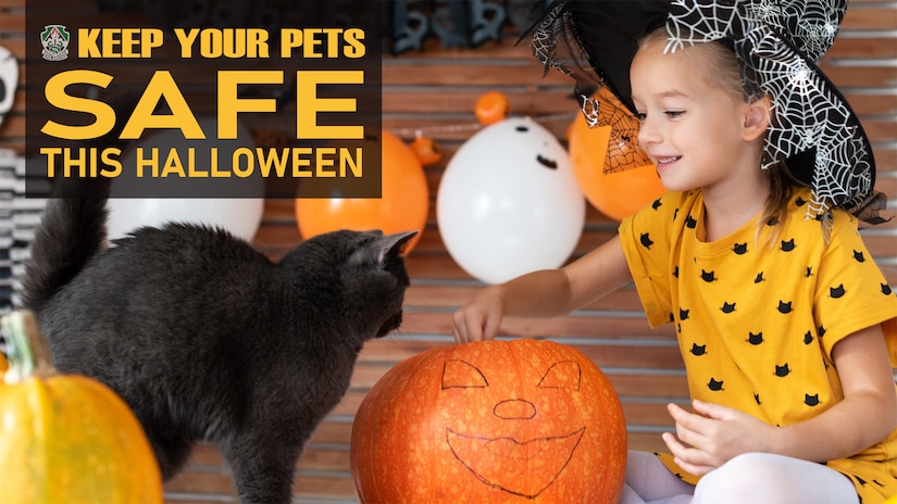 Halloween is right around the corner, and while it may be the spookiest night of the year for people, always remember to keep your four-legged friends safe. (U.S. Army Graphic by Amber Kurka)