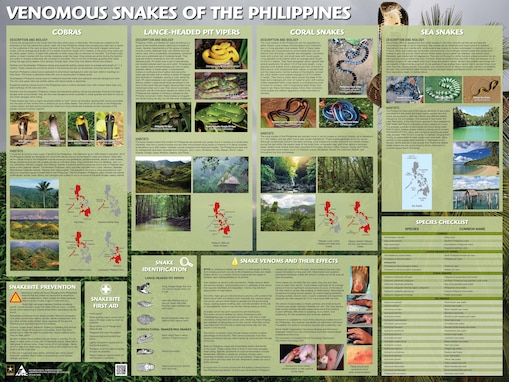 Venomous Snakes of the Philippines