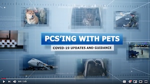 PCS'ing with Pets - Video