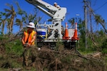 A man removes a tree branch to clear a path to work on power lines.