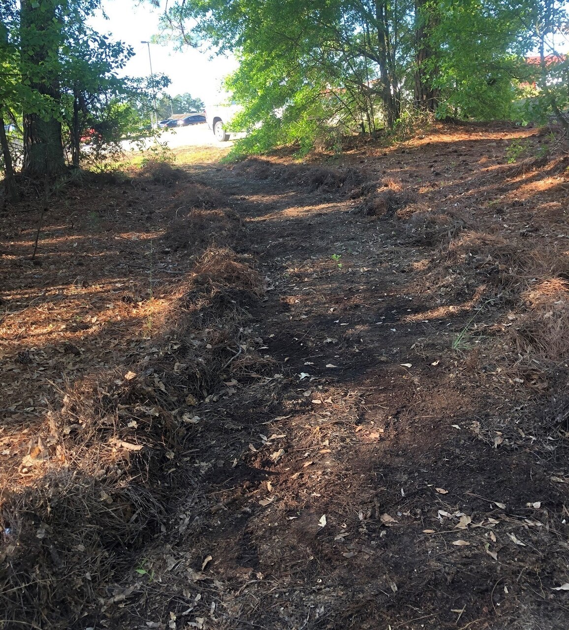 A trail cuts through a wooded area.