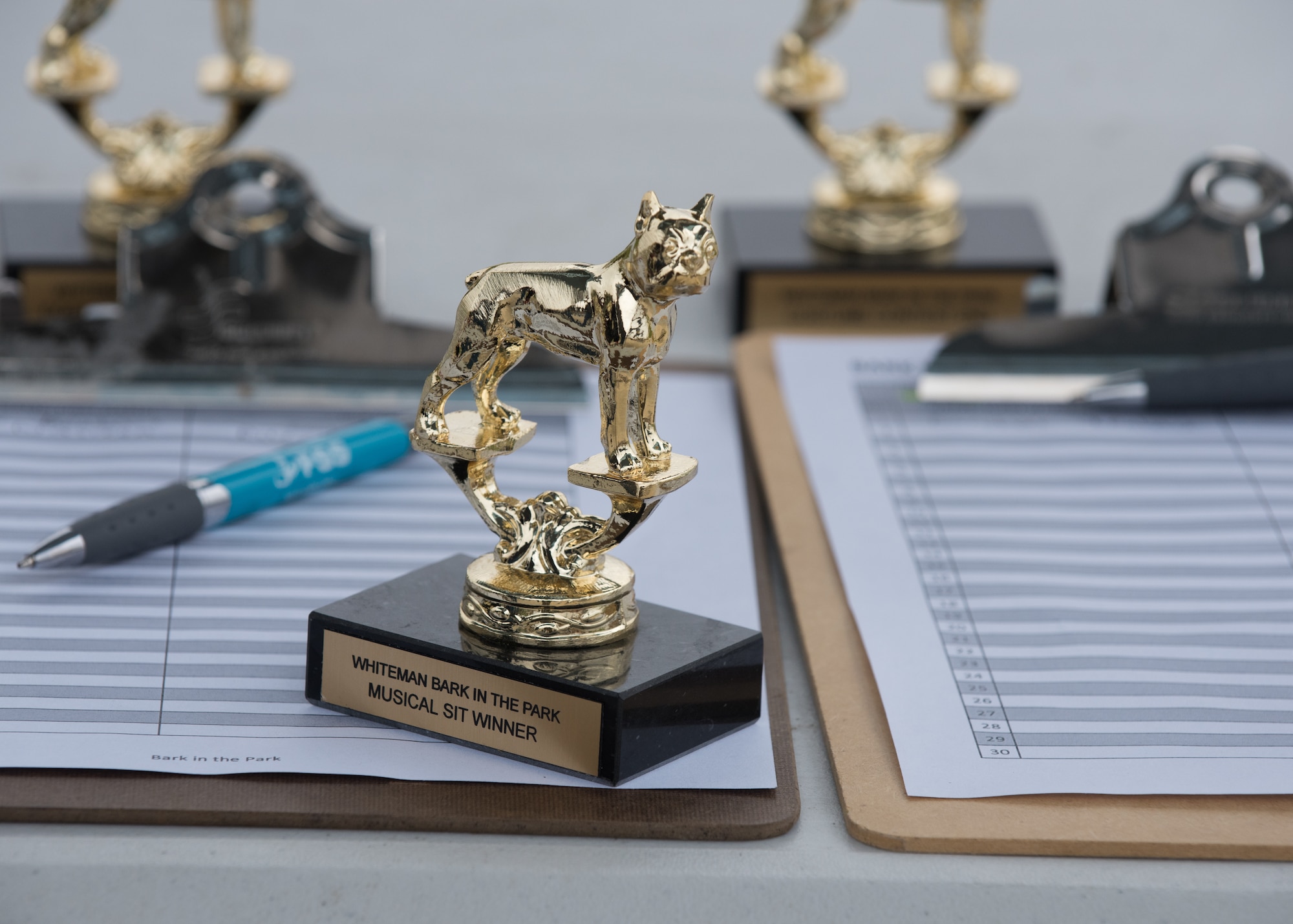 The Musical Sit trophy sits on a table during the Bark in the Park.