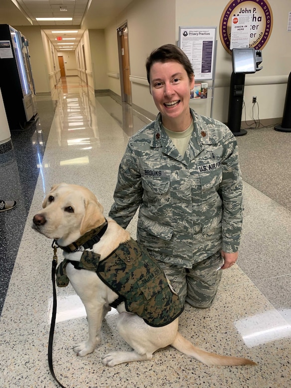 U.S. Air Force Maj. Jessica Brooks meets the late President George H. W. Bush’s service dog, Sully, at Walter Reed National Military Medical Center, Bethesda, Md., Sept. 9, 2019.