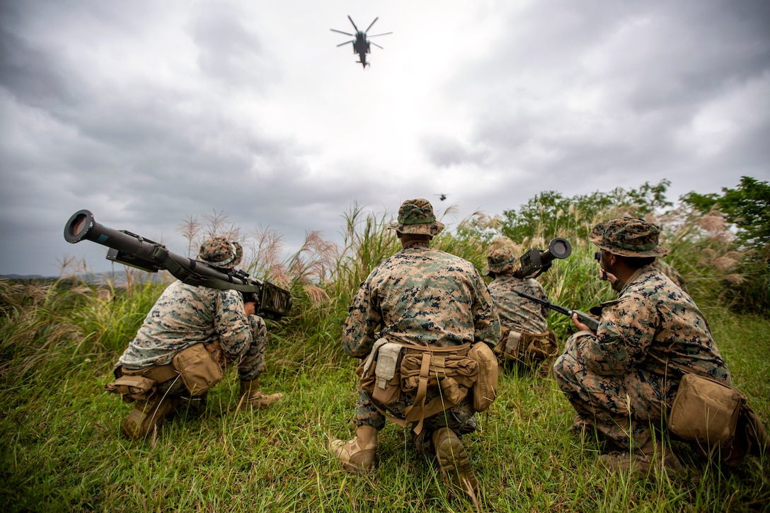 Marines watch helicopters in a forest-like area.