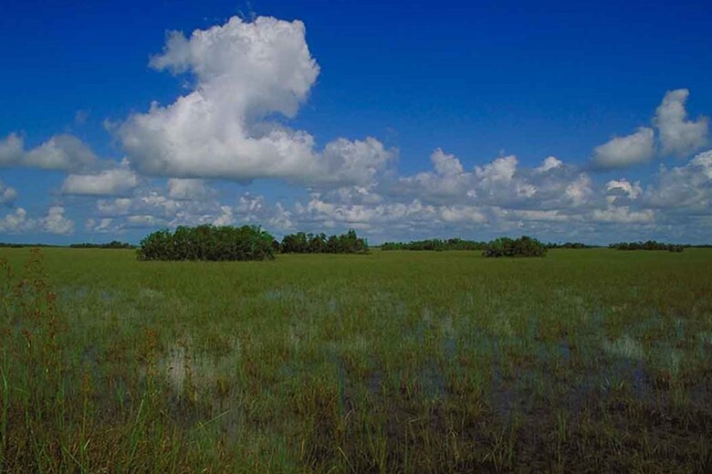 photo of Everglades tree islands in ridge and slough landscape